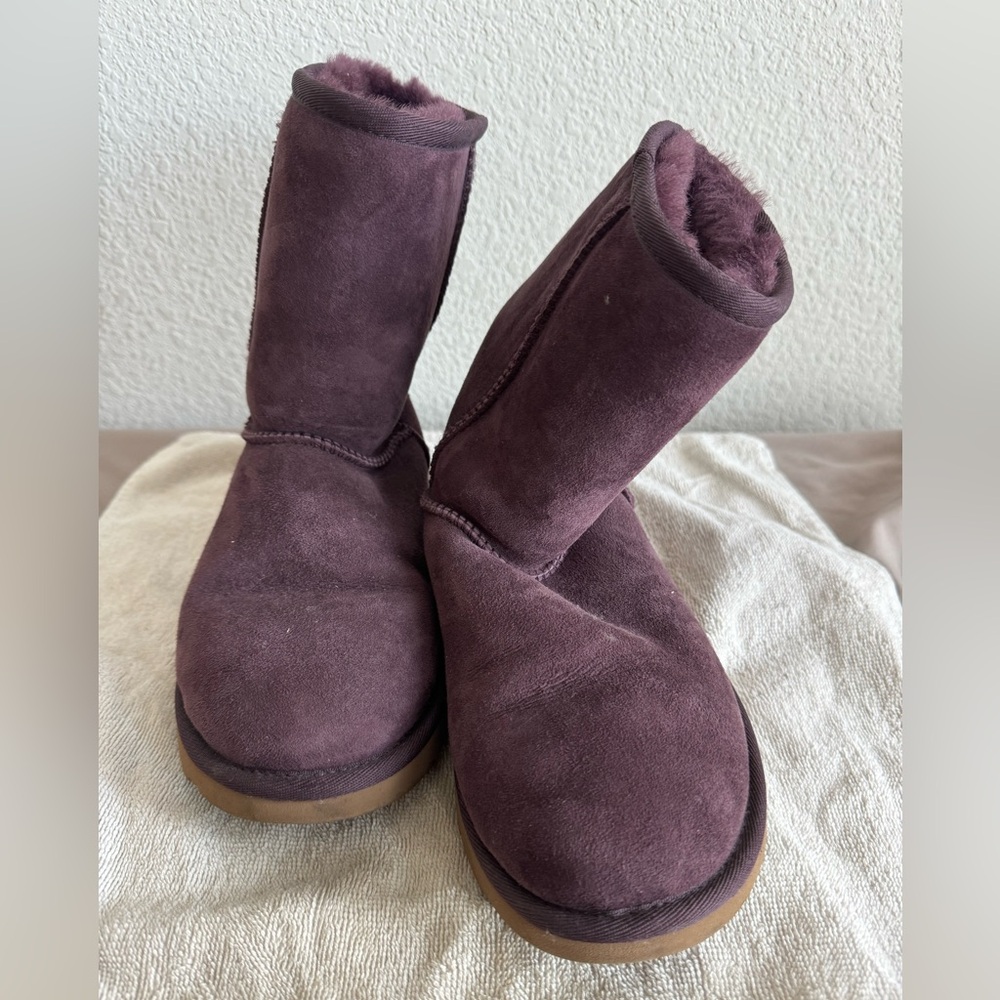 Ugg boots in plum